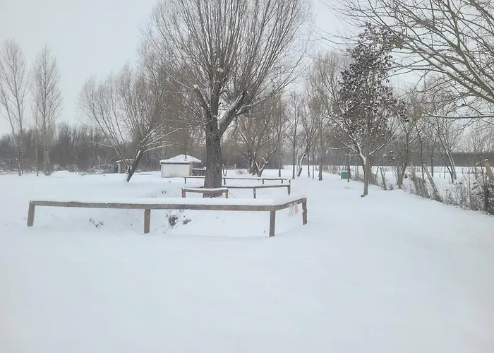 Végvári *